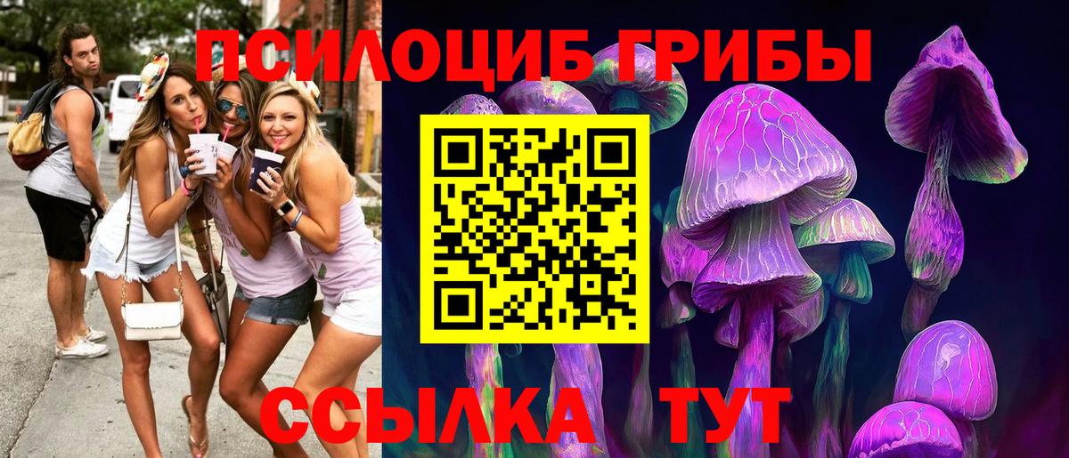 Псилоцибиновые грибы мицелий Россия