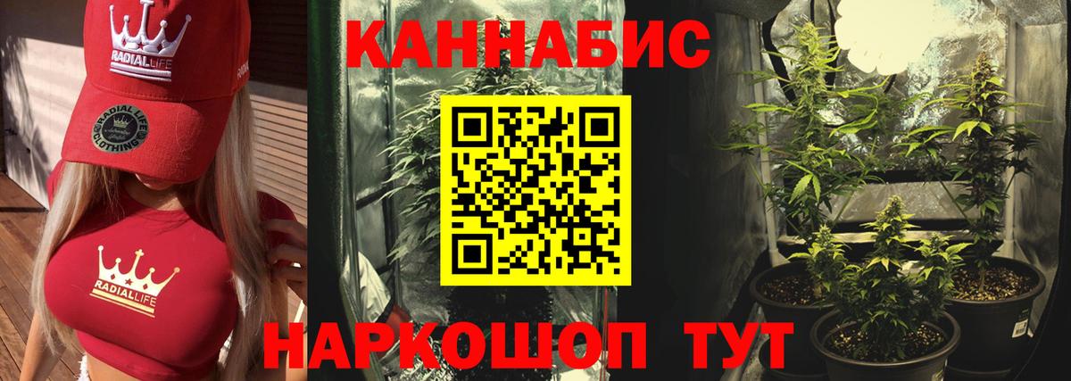Россия  Канабис семена  Конопля Amnesia  Вход с VPN  Шишки марихуана AK-47  Конопля AK-47 